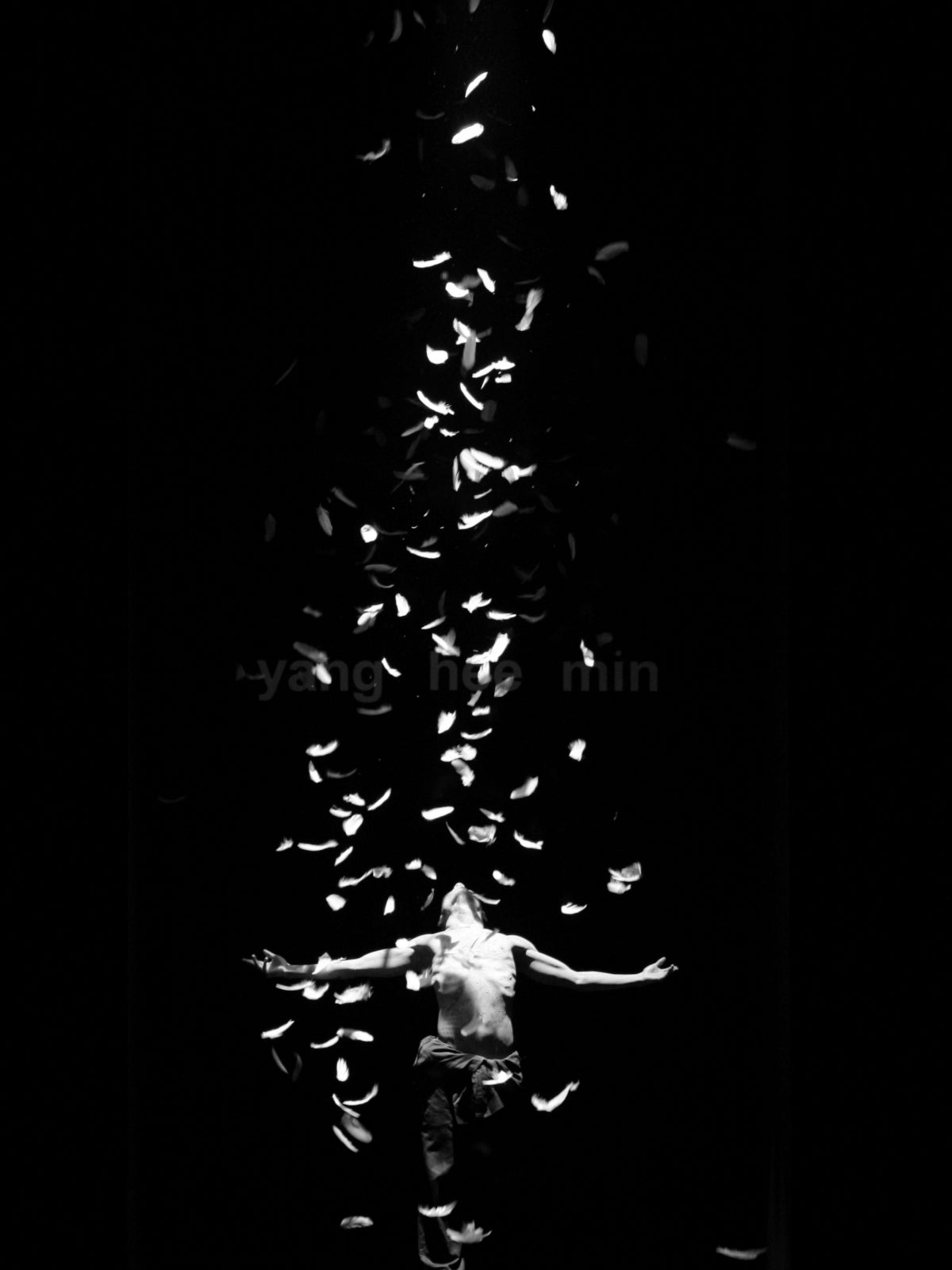 vandalist-seoul-fashion-week-2009aw